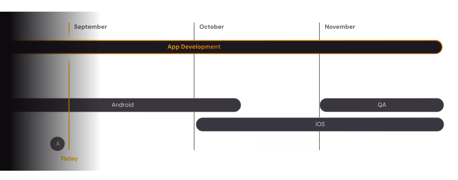 App development timeline